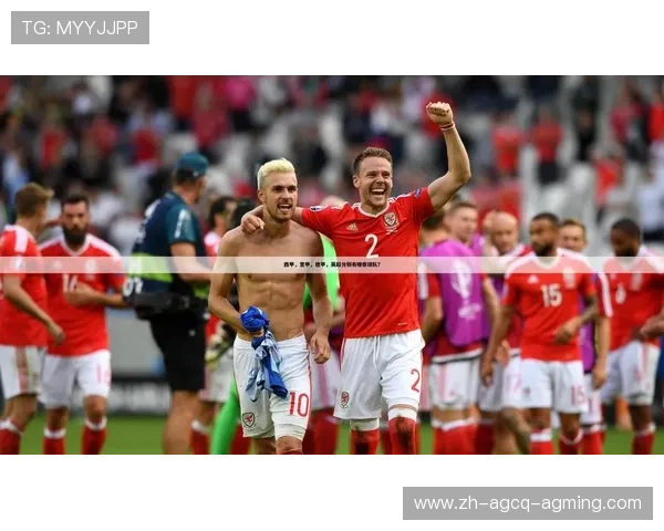 从未降级的德甲球队有哪些？联赛稳定性分析