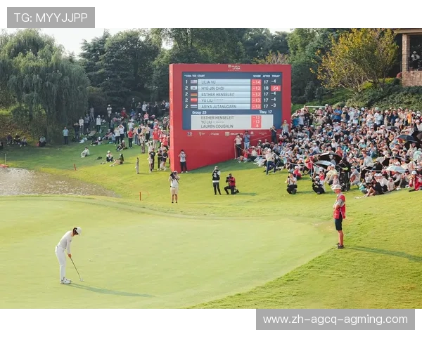 高尔夫公开赛：统治赛场